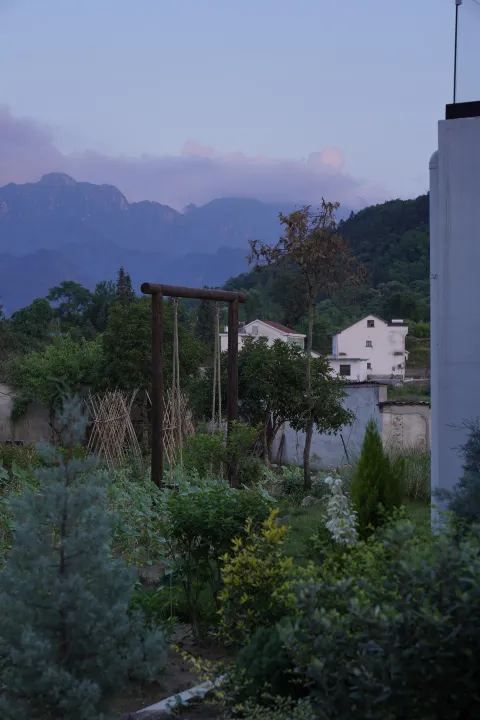 春野來信 | 九華山腳下的禪意居停