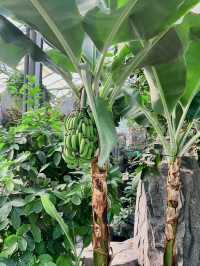 ✅ Global innovations – See how China leads in smart agriculture!