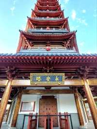 🍃《安亭老街：一場與歲月相逢的輕聲細語》