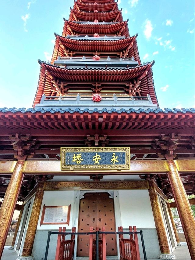 🍃《安亭老街：一場與歲月相逢的輕聲細語》