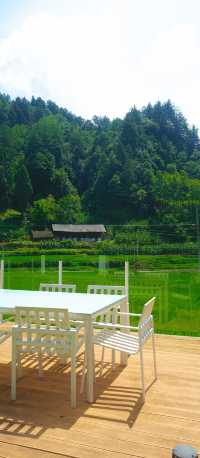 隱居山野嘅詩意生活｜枕住一片蛙鳴入眠