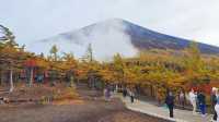 東京出發【富士山・忍野八海・溫泉體驗】