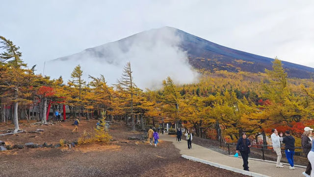 東京出發【富士山・忍野八海・溫泉體驗】