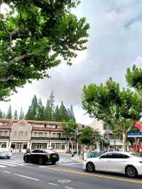 ✨《倘若時光有一道門，我想住進多倫多》