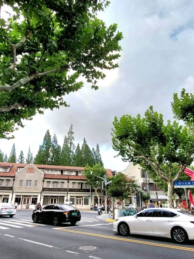 ✨《倘若時光有一道門，我想住進多倫多》
