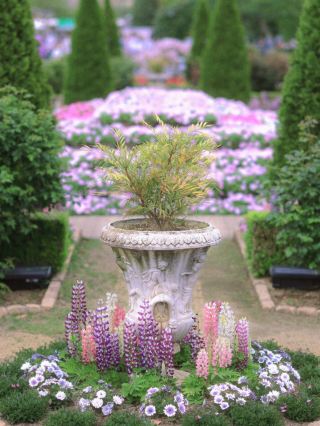 Ashikaga Flower Park: The Dreamy Wisteria Wonderland of Kanto
