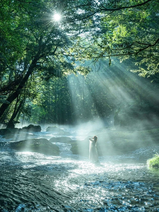 以為伊豆已經夠驚艷了,沒想到九州可以這麼絕!