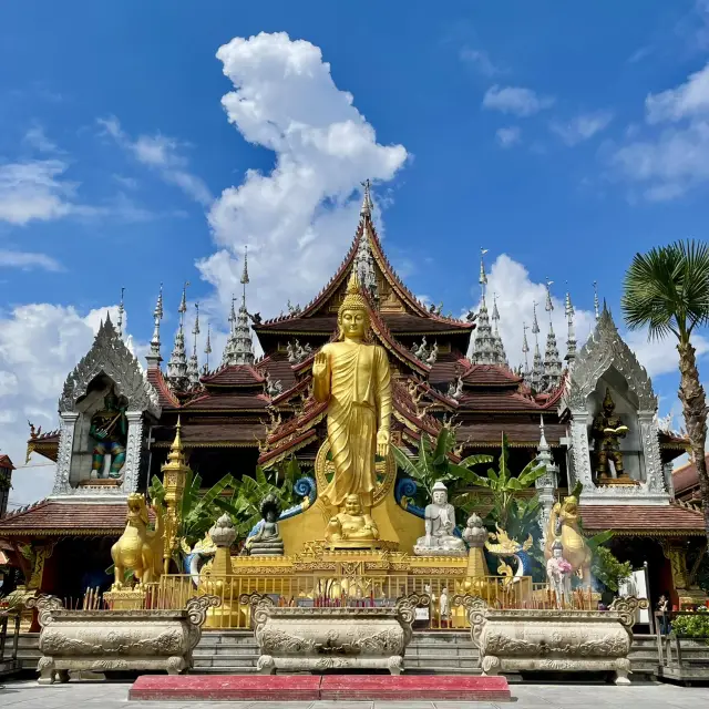 【Trung Quốc シーサンパンナ】Vườn Hoàng Gia Manting🪷