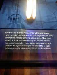 Amazing Ancient Egypt Exhibit
