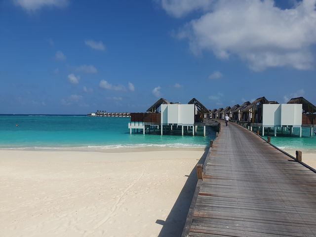 A Honeymoon to Remember