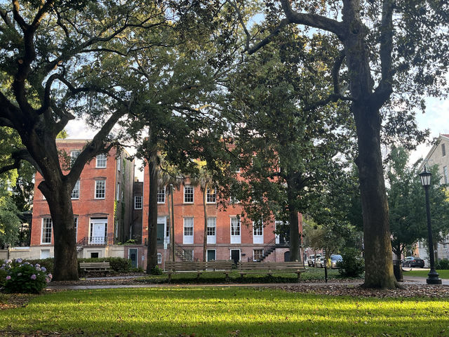 美國南方小鎮薩凡納 - 《阿甘正傳》取景地