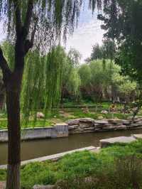 張面河畔私藏美景