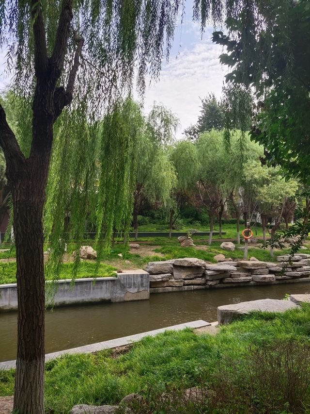 張面河畔私藏美景