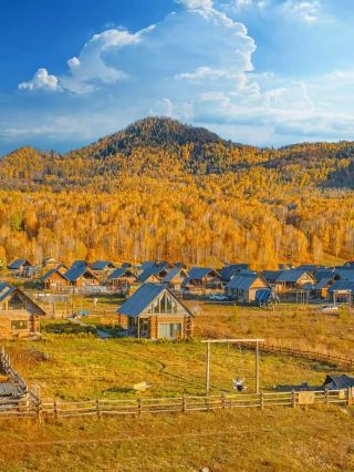 No place understands autumn better than Kanas for National Day autumn viewing|