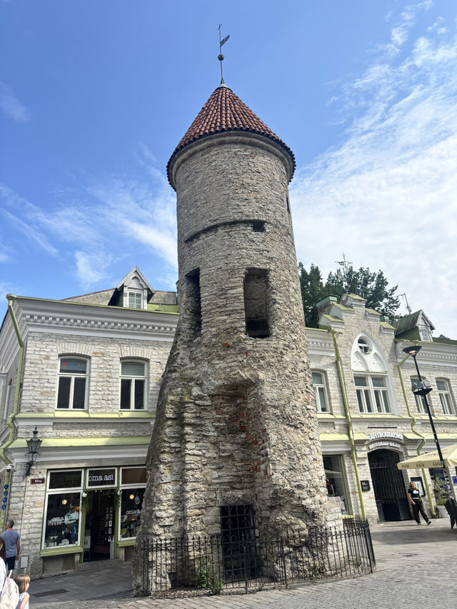 One day in Tallinn 