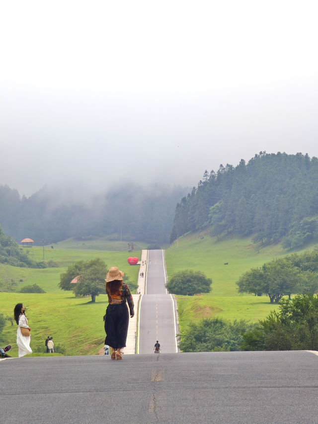 重慶仙女山，邂逅南國草原，探秘原始森林