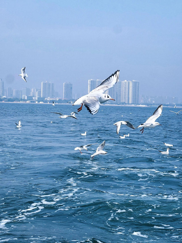 河北藏了個"動物童話王國"！漁田七里海2025全攻略