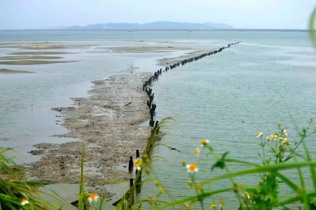 惠州鹽洲島3天2晚深度玩法,2000元帶你玩轉海島秘境! 惠州鹽洲島3天2晚深度玩法,2000元帶你玩轉海島秘境!