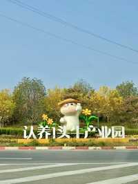 田園牧歌，牧場裡的溫暖約定：故城縣認養一頭牛景區