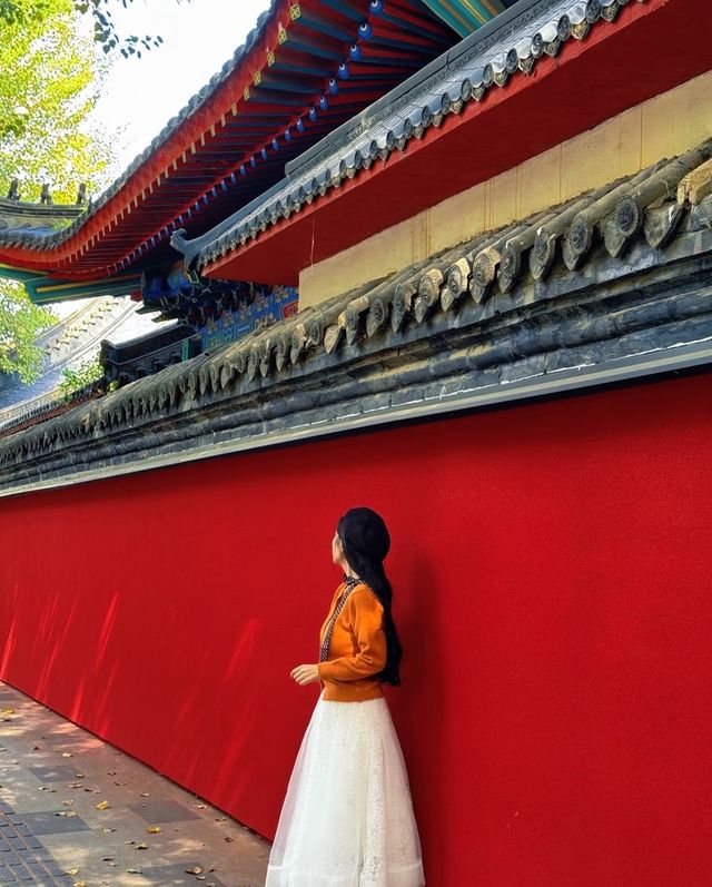 瀋陽短途記：古寺祈福遇美景，暖居休憩享舒心