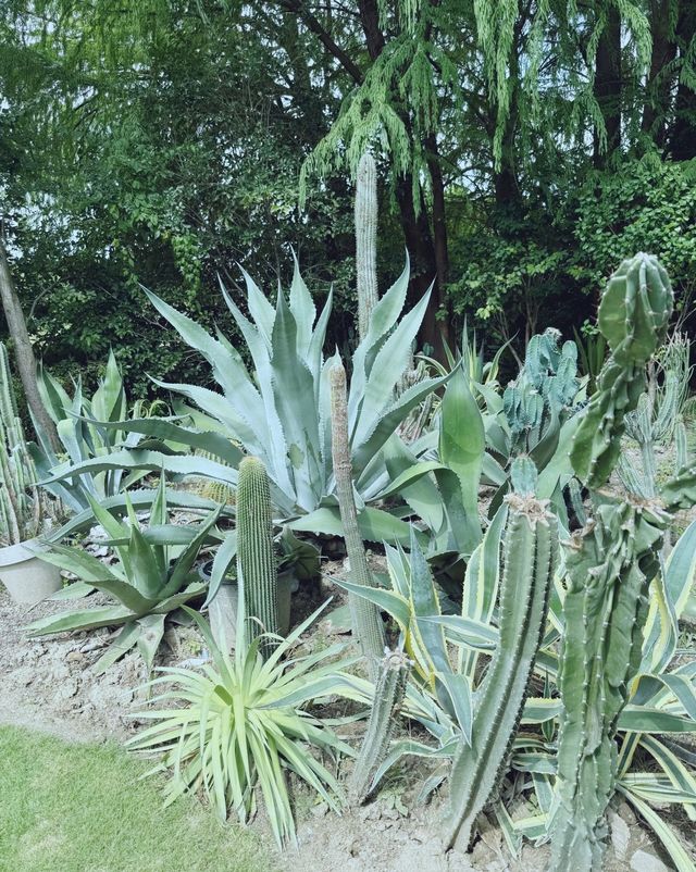 童話裡的小屋，上海植物園秋日兔子派對