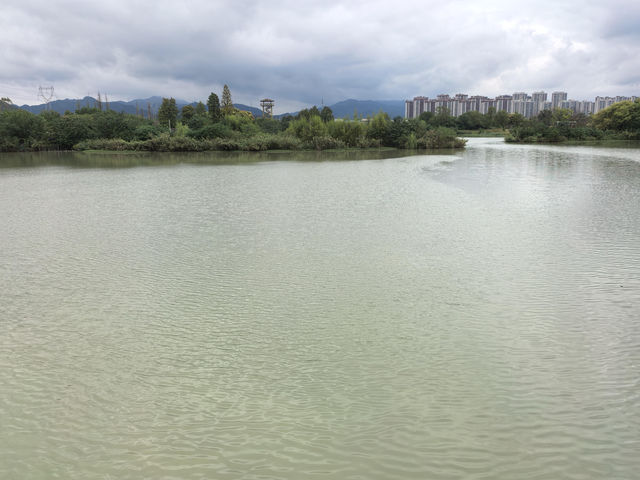 探秘杭州富陽“生態明珠”——陽陂湖，邂逅詩意自然！