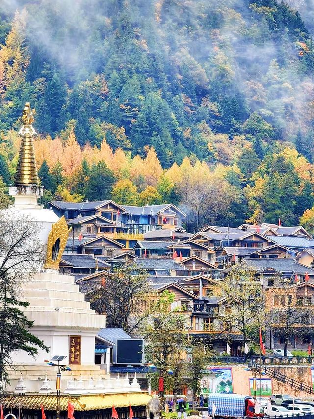 川西的秋天！比起九寨溝，我更愛這免費彩林！