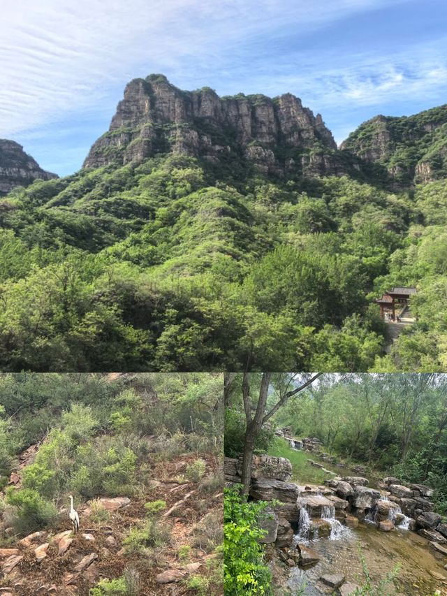 紅崖谷景區全攻略：特惠+網紅打卡，平山休閒遊指南
