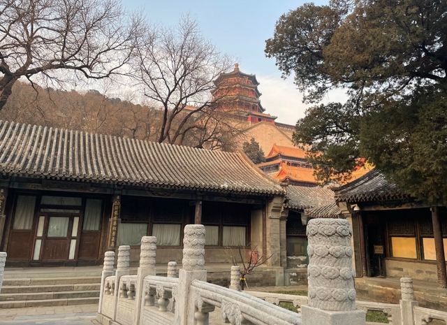 冬日頤和園漫步｜冰封昆明湖畔的人間仙境