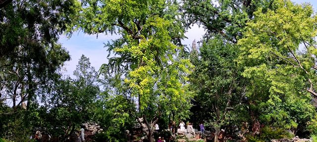 綠意依然、鮮花盛開的留園
