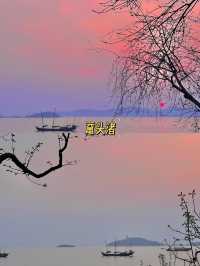 秋日鼋頭渚·太湖畔的彩色詩篇