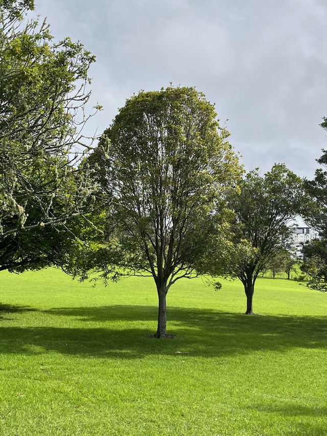 🌳 Cornwall Park: Auckland's Green Heart Where City Meets Serenity!  Escape into 425 acres of rollin