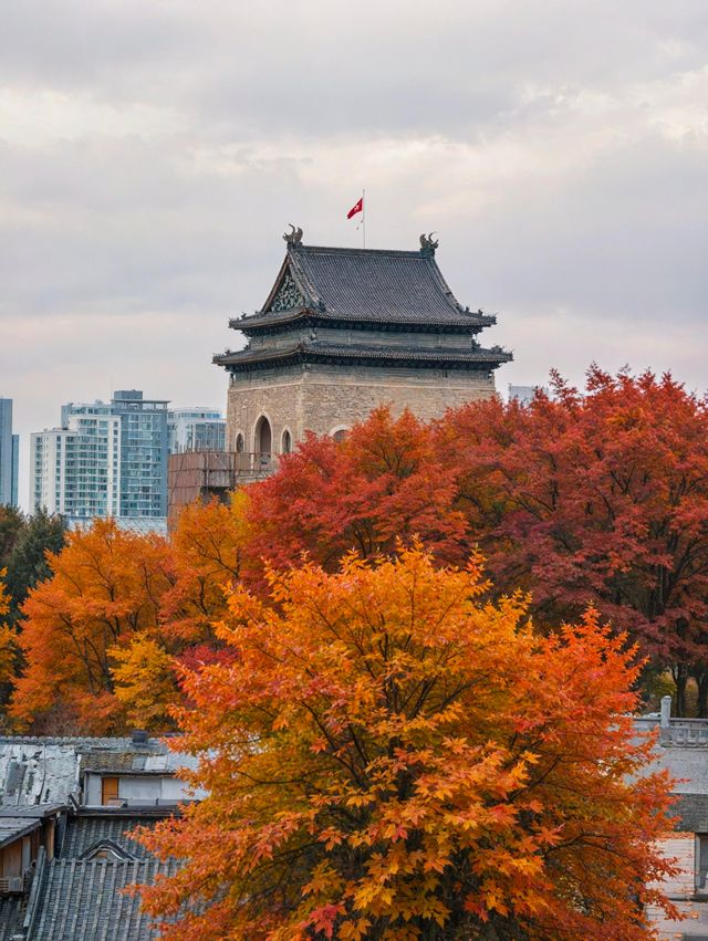 秋日北平漫步指南：從故宮角樓到胡同咖啡，一秒穿越回京華煙雲。