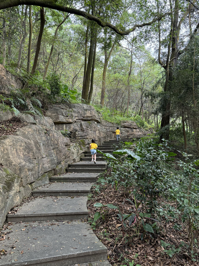 親子徒步好去處上帽峰山尋廣州早秋
