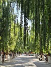 The Slumbering Giant of the Silk Road 🛌🪷