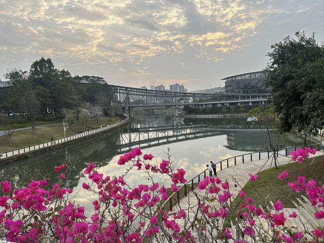 📚 清華大學深圳國際研究生院 × 大學城｜城市裡最詩意的校園風景