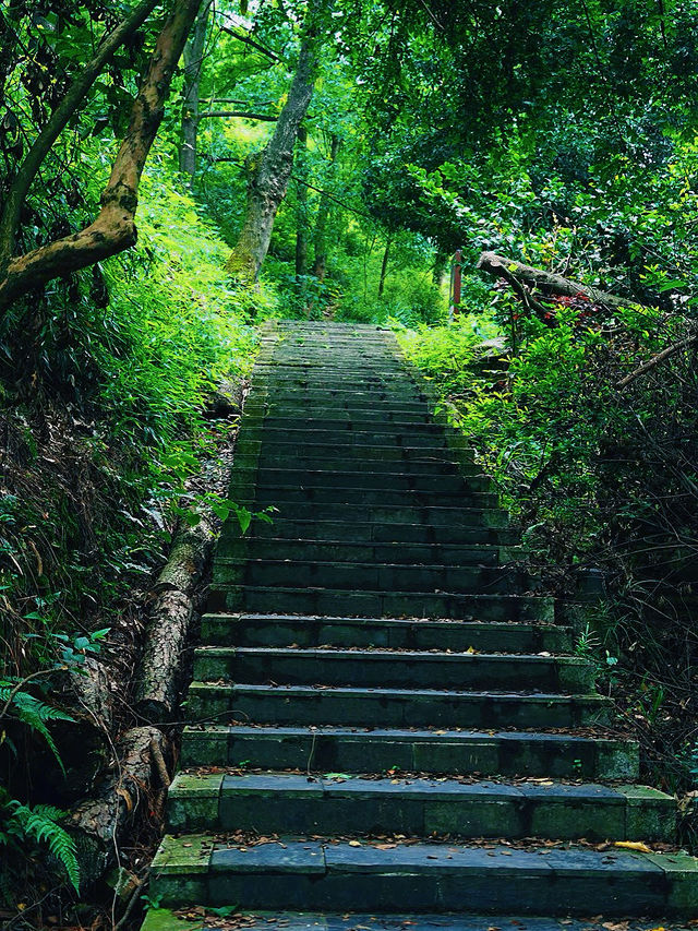 長沙小眾徒步秘境 | 桃花嶺，藏在城市旁的山野趣處 