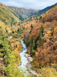 10月賞秋米亞羅彩林徒步一日遊快衝