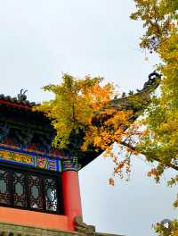 貴陽大興國寺 | 願神佛偏愛，一切從歡！ 大興國寺，一座隱藏在都市繁華背後的古剎，是尋找心靈寧