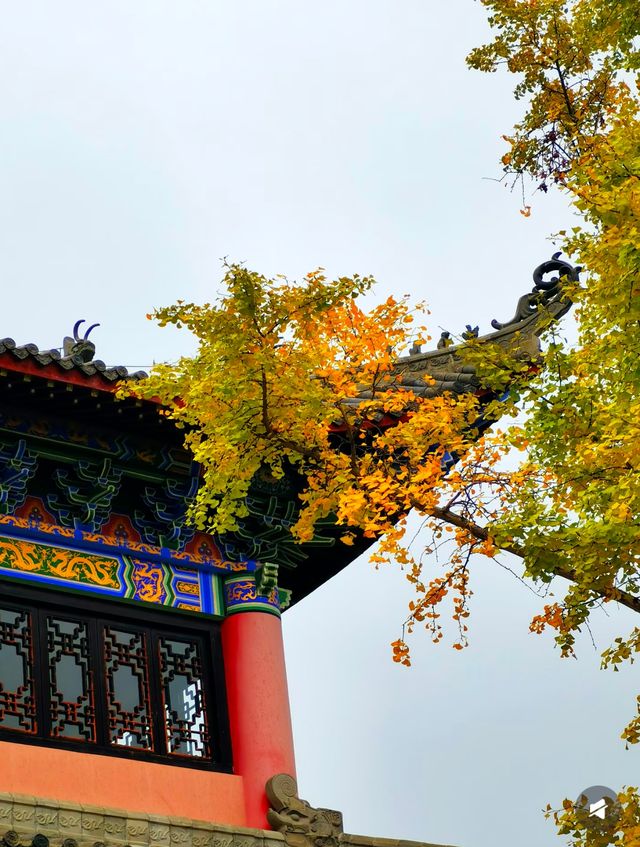 貴陽大興國寺 | 願神佛偏愛，一切從歡！ 大興國寺，一座隱藏在都市繁華背後的古剎，是尋找心靈寧