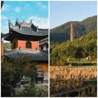 秋風微涼，稻穀滿倉：自耕自食的低調佛國，1400年不收門票