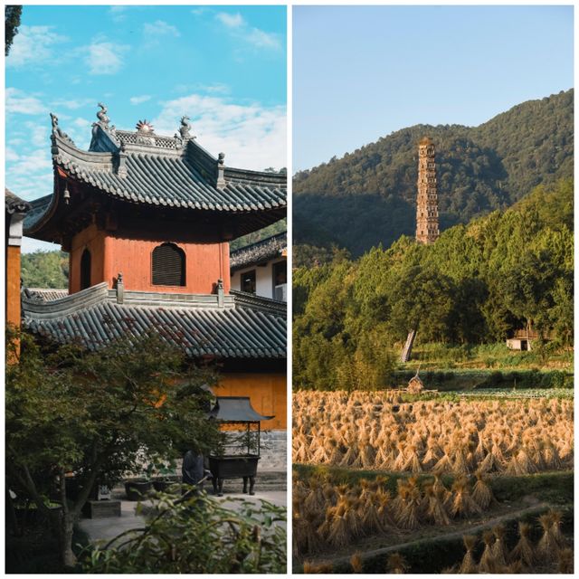 秋風微涼，稻穀滿倉：自耕自食的低調佛國，1400年不收門票