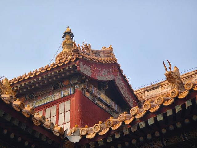 雍和宮的秋｜紅牆銀杏配香火，這才是京城秋韻天花板