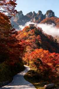 川北秘境南江|亞洲最大紅葉帶+千年古道超全攻略!