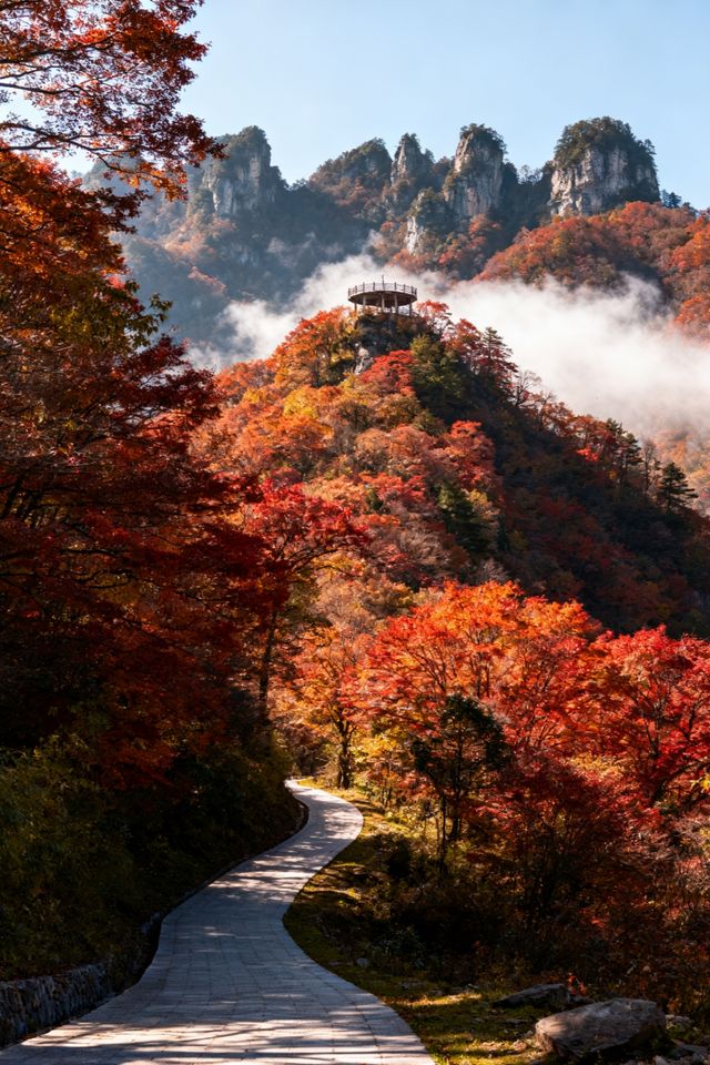 川北秘境南江|亞洲最大紅葉帶+千年古道超全攻略! 川北秘境南江|亞洲最大紅葉帶+千年古道超全攻略!