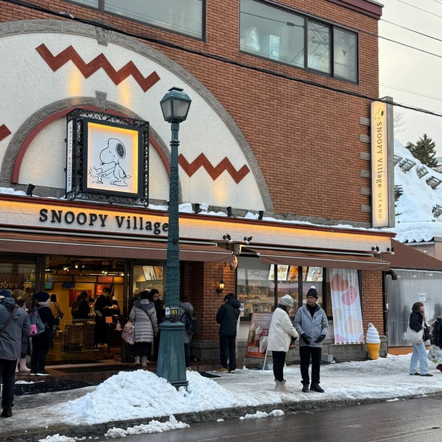 🐧오타루 수족관에서 펭귄과 눈꽃을 만난 날 🐧오타루 수족관에서 펭귄과 눈꽃을 만난 날