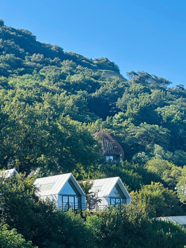 發現一處隱世秘境!舟山這家童話莊園酒店也太絕了! 發現一處隱世秘境!舟山這家童話莊園酒店也太絕了!