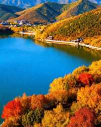 澄澈湖水、綿延綠道和原生態風光讓你感受自然與愜意的雙重治癒