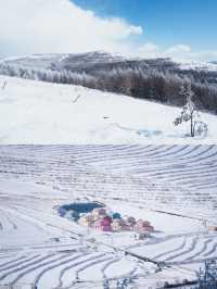 樺皮嶺踏雪：樺皮嶺會懲罰每一個不帶工具的人！