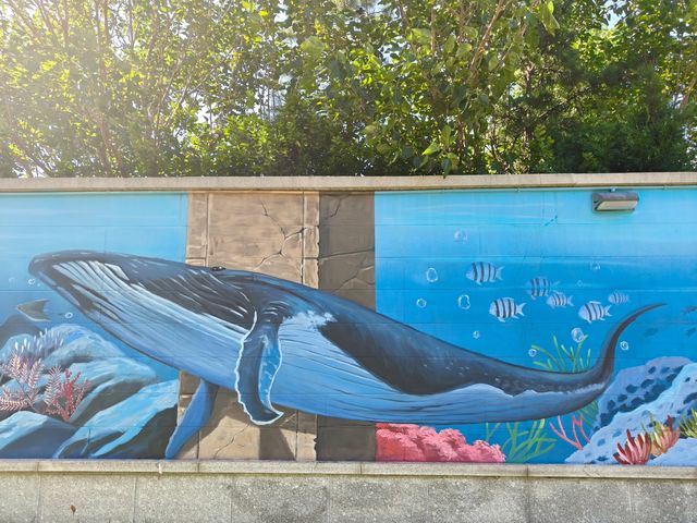 超chill的煙台躺平攻略這家海景酒店真的讓我實現了"面朝大海，春暖花開"的夢想！  這次在煙台